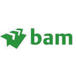 BAM Construction