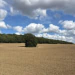 Biodiversity Net Gain (BNG) Wakefield