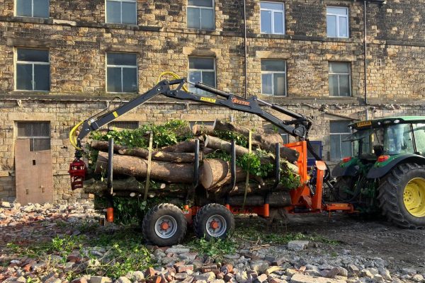 Crown Lifting, Crown Thinning & Dead Wooding
