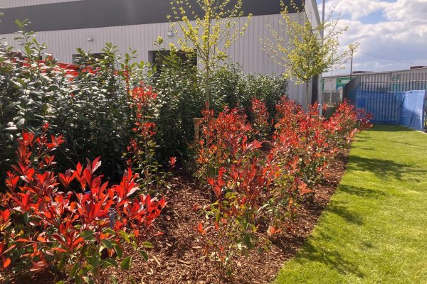 Soft landscaping contractors Wakefield