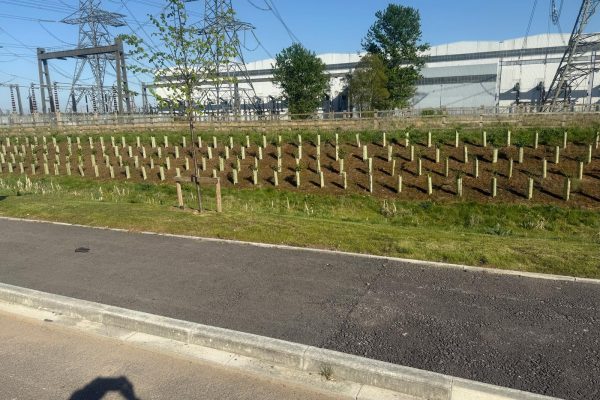 Professional Soft Landscaping Services