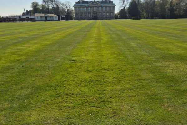 grounds maintenance for commercial premises