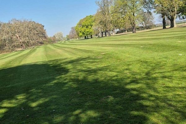 grounds maintenance for commercial properties