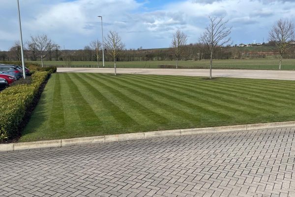 professional grounds maintenance contractors