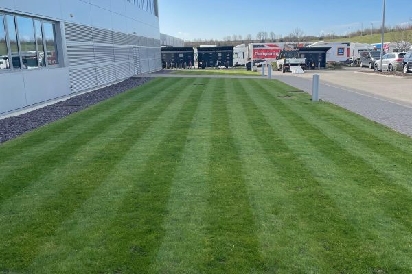 professional grounds maintenance services Wakefield